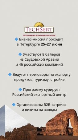 🤝 Саудовская Аравия ищет партнеров в РФ