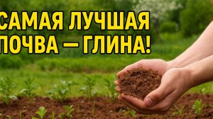 ГЛИНА — не враг, а ЛУЧШАЯ ПОЧВА! Почему она работает?