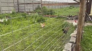 Поездка к родителям. Полезные обновки для дома и хозяйства. Как все успеть Стройка продолжается.