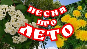 Песня про лето.