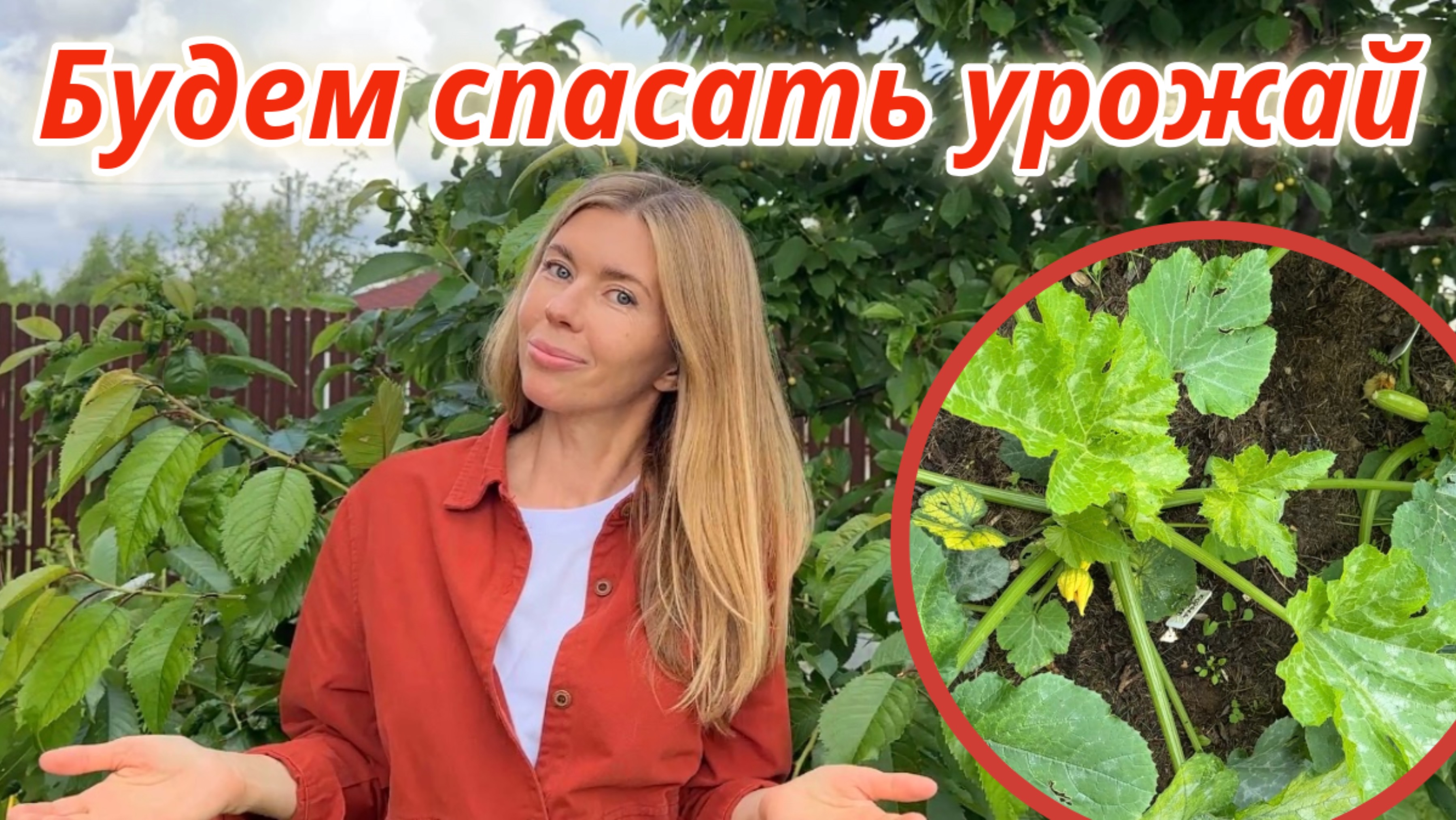 Заливает дождями. В открытом грунте не растут даже кабачки