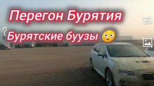 Перегон Бурятия. Буузы вкусные