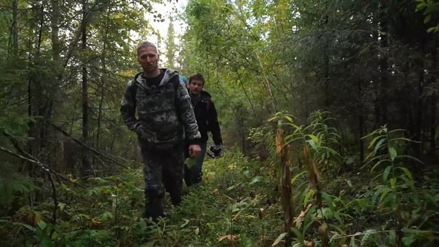 Безумные мельницы в Арктике и деревни-призраки. Едем 350 км без дорог по Архангельской области