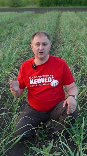 Как удержать влагу в почве? #medved #агротехнологии #сельхозтехника #фермер #сельскоехозяйство