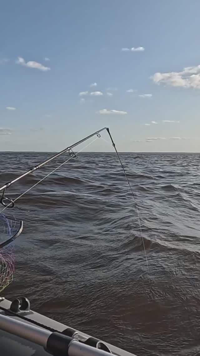 Анонс. Легкий бриз колышет арматуру ))) Рыбалка на Горе Море.