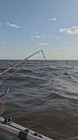 Анонс. Легкий бриз колышет арматуру ))) Рыбалка на Горе Море.