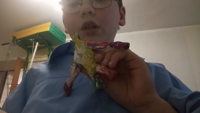 VID_20250512_204238