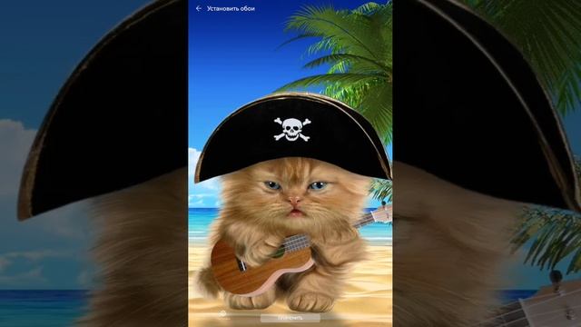 SVID_20250626_181619_1.mp4