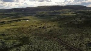 Путешествие к центру аномалий. Часть 4 . "Подарок"