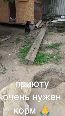 +7985 193 0027