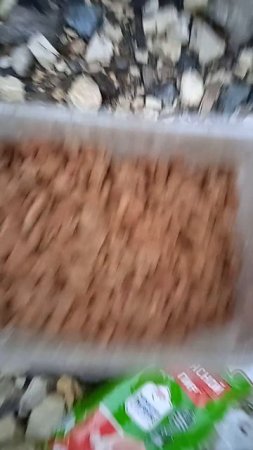 Вчера вечером покормить не смогли - сломалась машина. 
Нужна помощь оставить еды