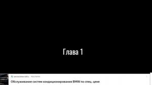 СПАС ДЕДА МОРОЗА ОТ КОТА БУ ИСПУГАЛСЯ
