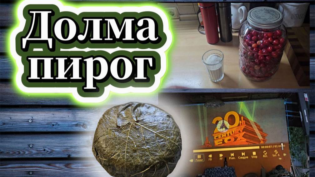 103-25!С′ЕЗДИЛИ НА ДАЧУ/СГОТОВИЛА ДОЛМА-ПИРОГ/ПОСТАВИЛИ ВИШНЁВКУ/ОБЗОР ПРОЕКТОРА/НАШ КОК-ТОБЕ 📺