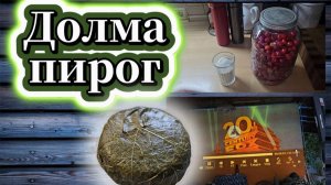 103-25!С′ЕЗДИЛИ НА ДАЧУ/СГОТОВИЛА ДОЛМА-ПИРОГ/ПОСТАВИЛИ ВИШНЁВКУ/ОБЗОР ПРОЕКТОРА/НАШ КОК-ТОБЕ 📺