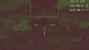 Охота на косулю