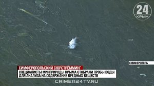 Массовый мор рыбы зафиксировали на участке реки Славянка в Симферополе