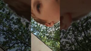 экстремальные прятки в реальной жизни