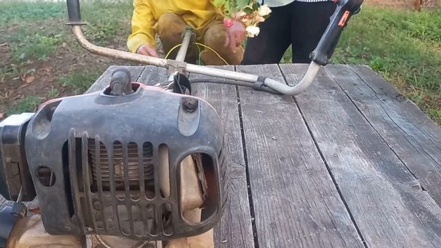 Вся сушка вниз головой.
