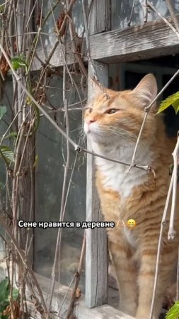 Переезд точно не был лишним