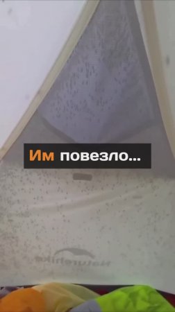 Им повезло...