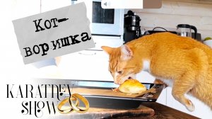 Кот-воришка. Горячие пирожки