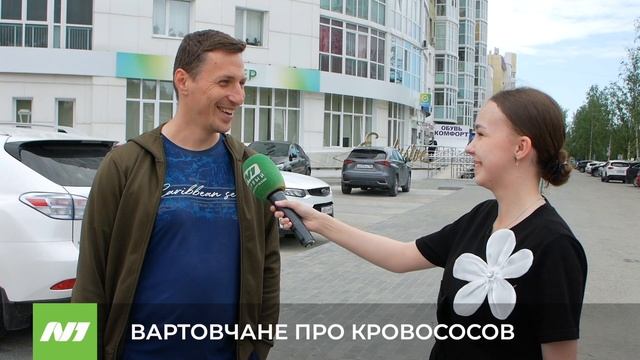 Вартовчане жалуются на нашествие мошки
