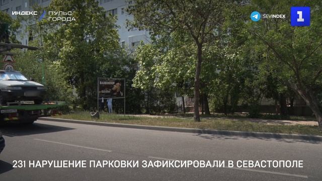 231 нарушение парковки зафиксировали в Севастополе