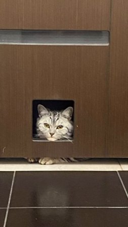 в туалет и без меня?😅