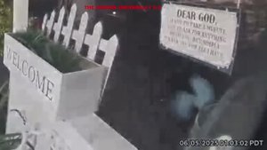 Инопланетянин на заднем дворе