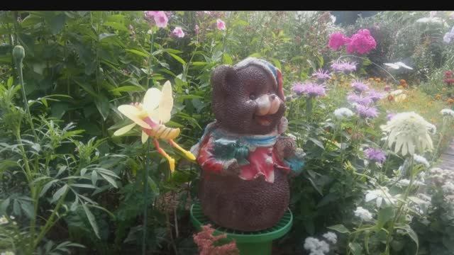 Красота на дачном участке