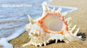 Настрой Сытина Идеальный слух. Скрытые аффирмации. Саблиминал.