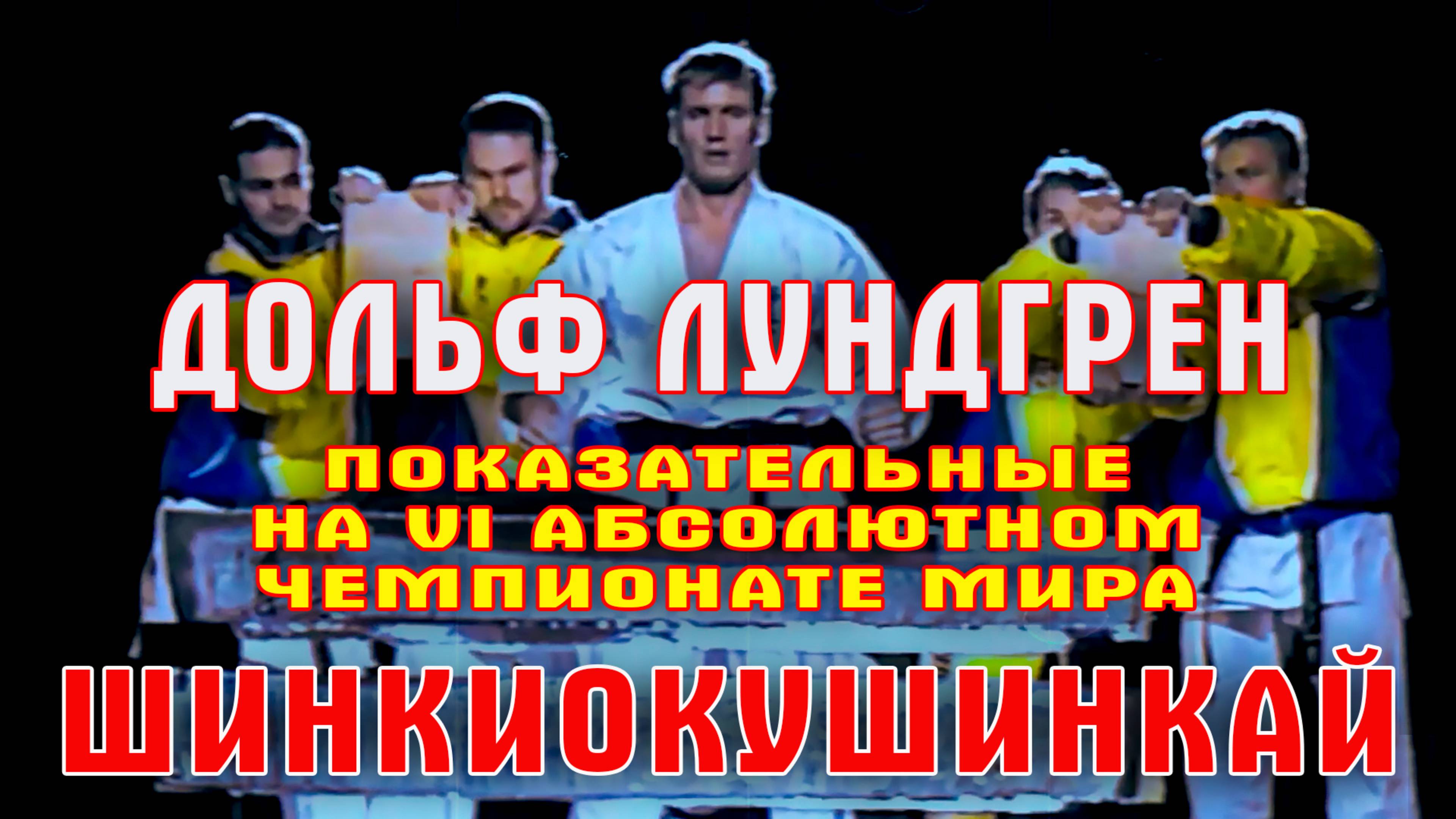 Киокусинкай.Дольф Лундгрен.Показательные на IV Абсолютном Чемпионате мира по Шинкиокушинкай