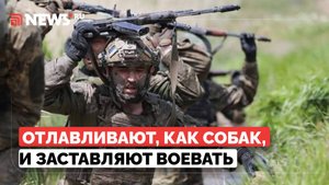 Почему ВСУ начали сдаваться в плен при малейшей возможности, объяснил Алаудинов