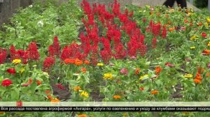 Яркие краски лета 25.06.2025