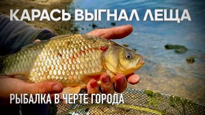 КАРАСЬ выгнал ЛЕЩА. А как хорошо начиналось. РЫБАЛКА в черте горда.