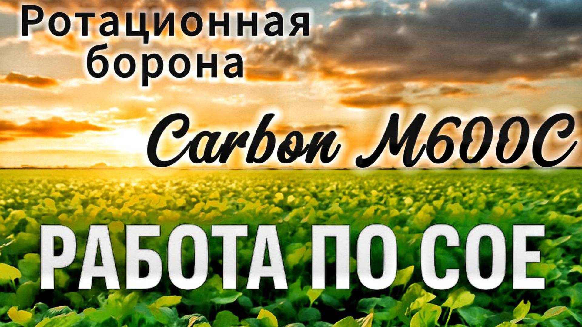 Ротационная борона Carbon M6000C отличный агрегат для борьбы с почвенной коркой!Ставропольский край!