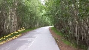 лето супер.