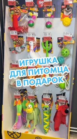«Лента Зоомаркет» дарит игрушку за покупки от 5 000₽ 🐶 Выбирайте подарок с 27 по 29 июня!