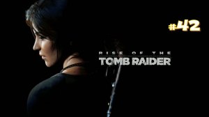 Прохождение Rise of the Tomb Raider #42 - Через лес
