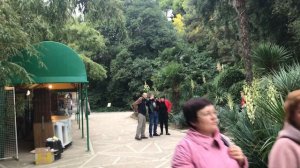 В Никитском Ботаническом Саду