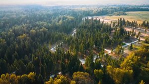 Красота «Ели Estate» - тизер поселка
