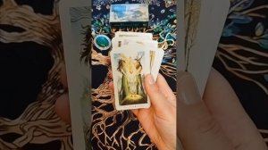 ДИКИЙ ЛЕС ТАРО ОБЗОР КОЛОДЫ