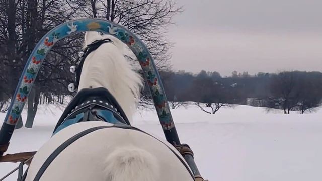 Катание в санях