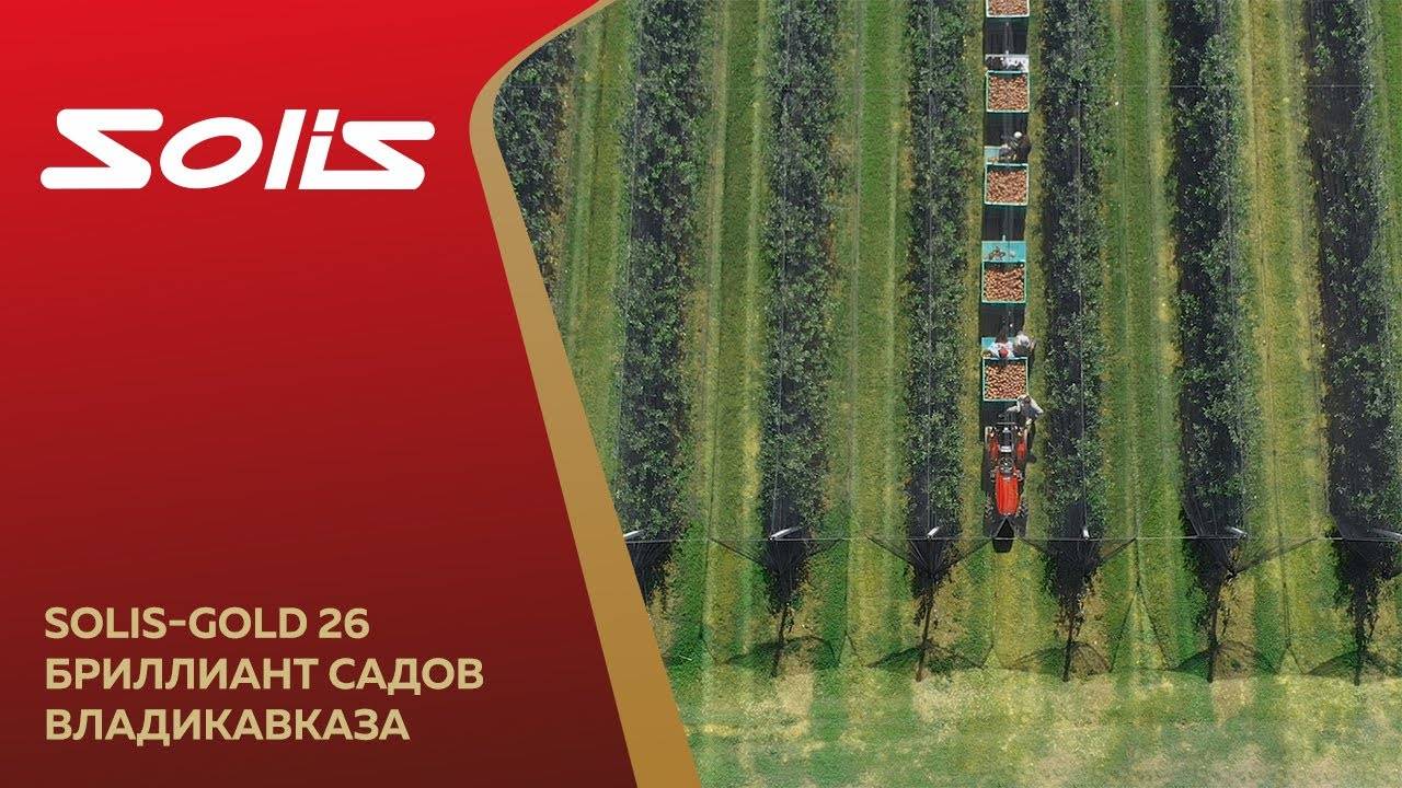 Solis-Gold 26 Бриллиант садов Владикавказа