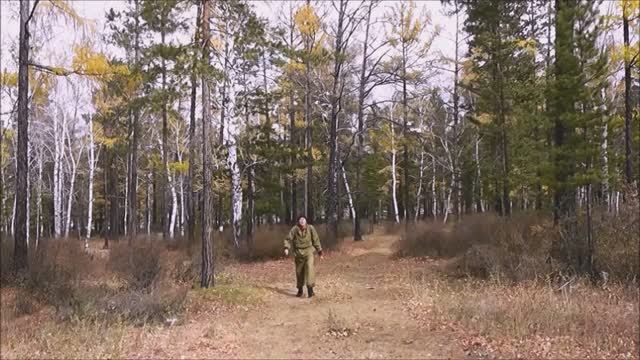 " Прогулка в осень... "