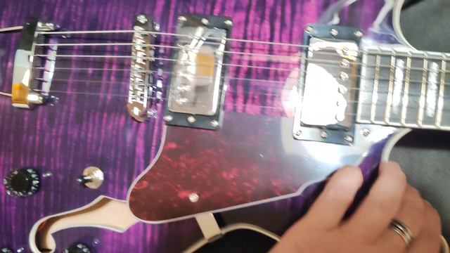 Обзор сборки полуакустических гитар ES-335 Grote (Mars) смотреть онлайн