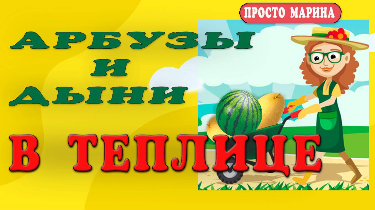 Арбузы и дыни в теплице. Уход, подкормки, поливы, опыление.