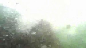 Однажды на  АзовскомWerema54