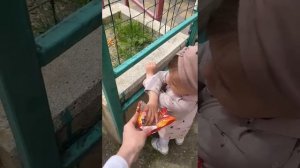 VID-20250514-WA0000