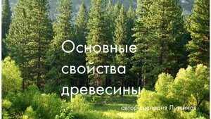 Свойства древесины